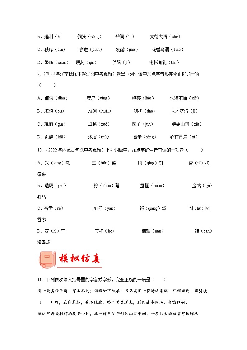 初中语文中考复习 专题01  字音字形【专题检测】-备战2023年中考语文一轮复习通关宝典（原卷版）第3页