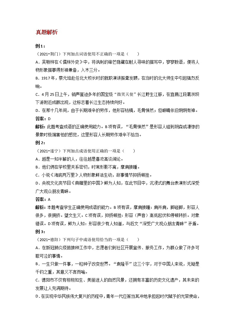 备战2023年新中考二轮语文专题导练 考点06 成语和熟语02