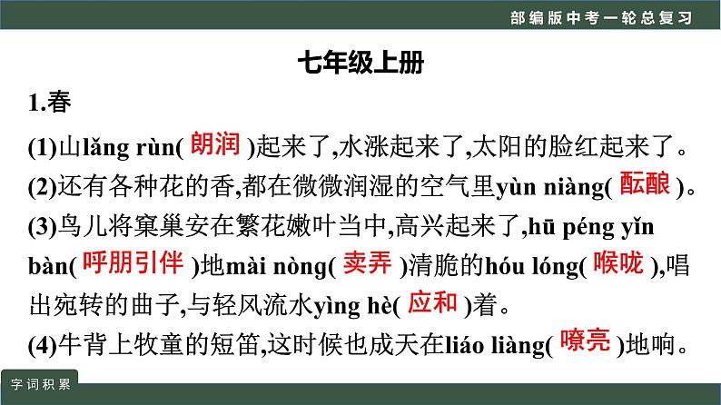 初中语文中考复习 专题01  语言文字运用之词语积累-2022年中考语文一轮复习黄金考点讲练测课件PPT第8页