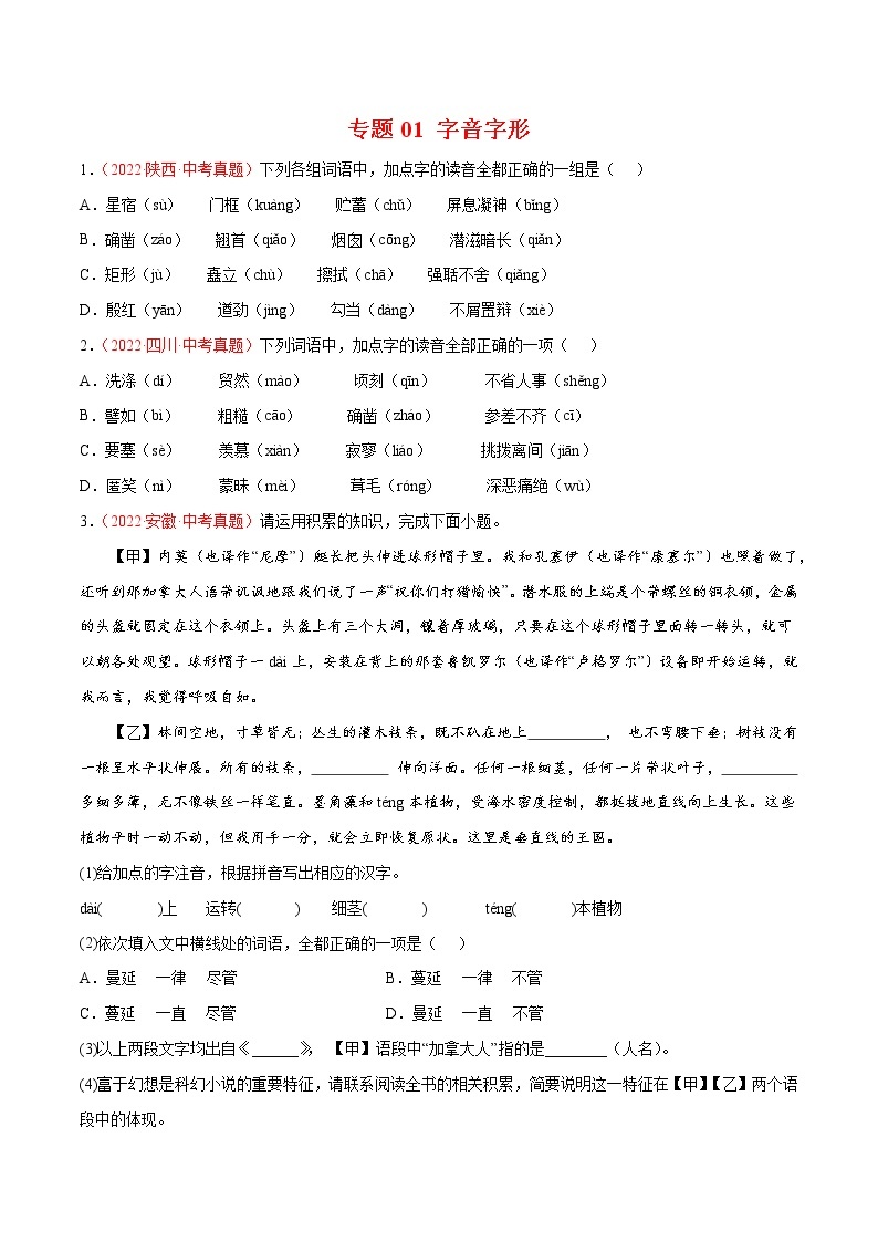 初中语文中考复习 专题01 字音字形-三年（2020-2022）中考语文真题分项汇编（全国通用）（原卷版）01