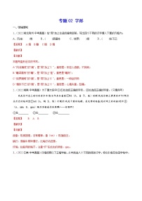 初中语文中考复习 专题02 字形(考点训练)(解析版)