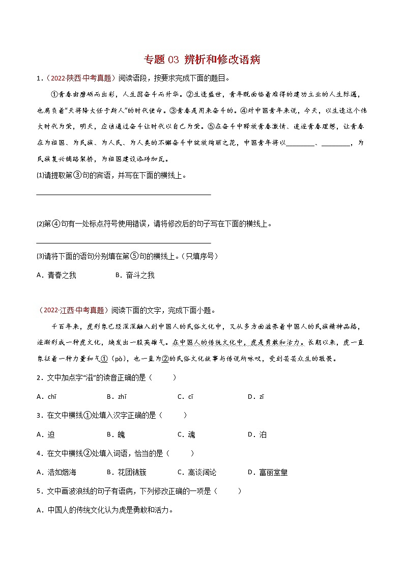 初中语文中考复习 专题03 辨析和修改语病-三年（2020-2022）中考语文真题分项汇编（全国通用）（原卷版）第1页