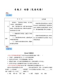 初中语文中考复习 专题03 词语（包括成语）（原卷版）