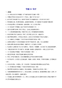 初中语文中考复习 专题04 句子(考点训练)(原卷版)