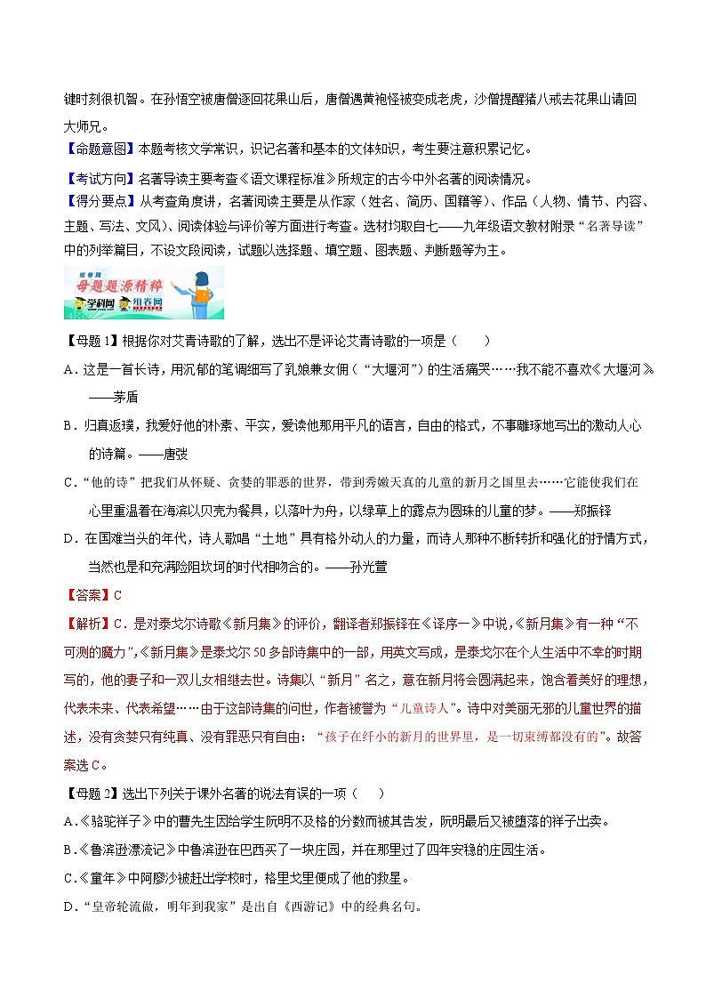 初中语文中考复习 专题06 名著导读-2020年中考语文母题题源解密（全国通用）（解析版）第2页