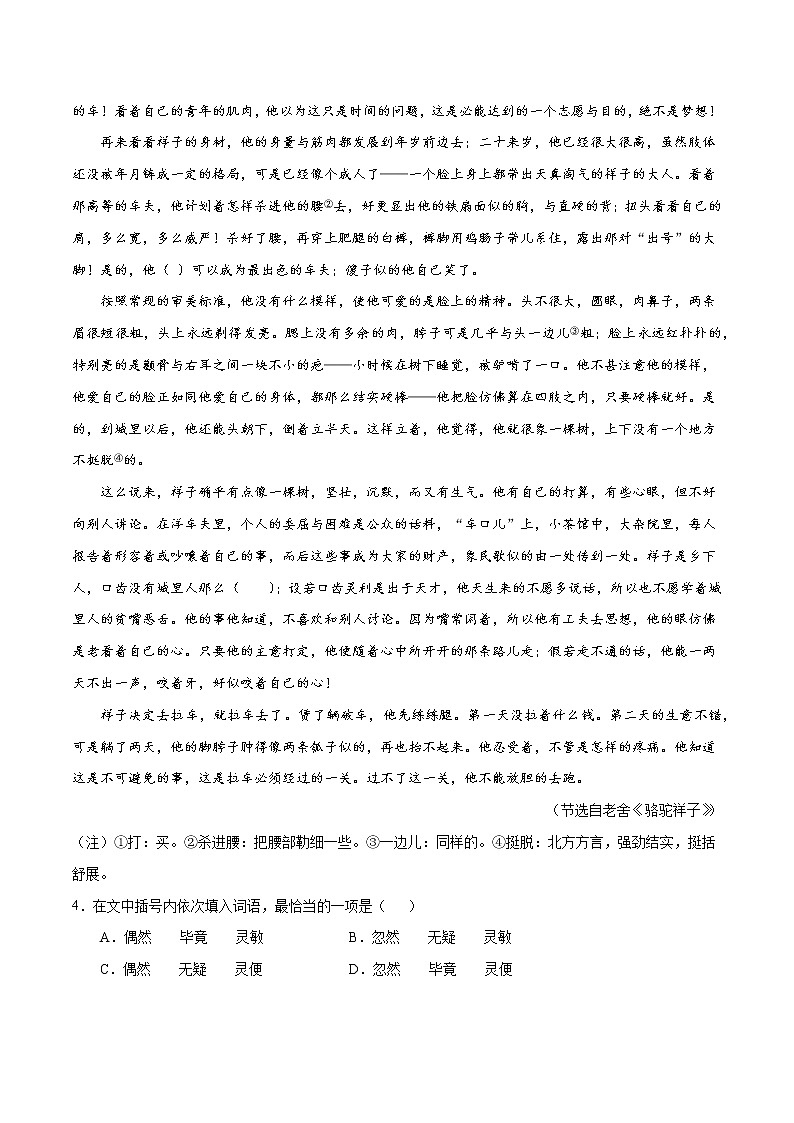 初中语文中考复习 专题07 名著阅读-2020年中考语文真题分项汇编（全国通用）（原卷版）02