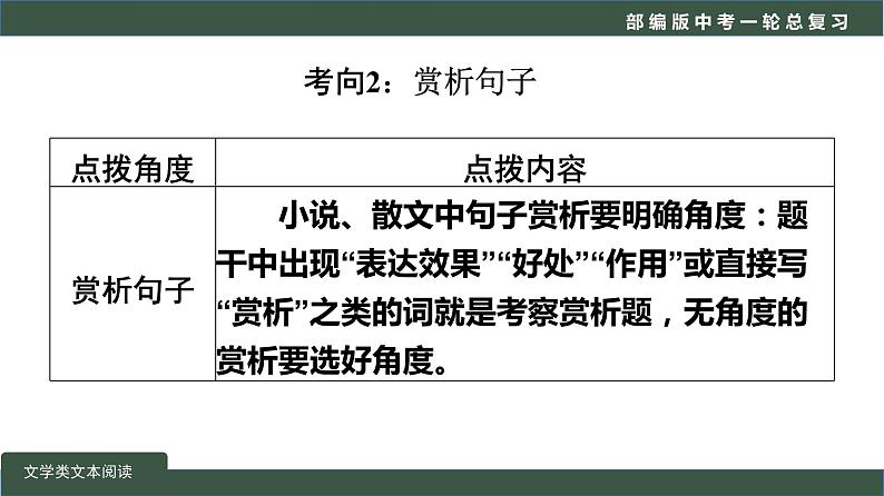 初中语文中考复习 专题04  现代文阅读之品味鉴赏-2022年中考语文一轮复习黄金考点讲练测课件PPT第7页