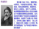 九下语文《海燕》PPT