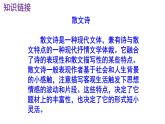 九下语文《海燕》PPT
