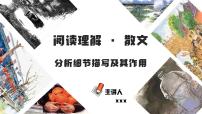 初中语文中考复习 专题11  分析细节描写及其作用（PDF）-2023年中考语文阅读理解之散文阅读重点难点汇编（无答案）
