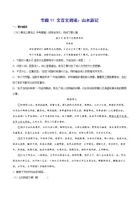 初中语文中考复习 专题11 文言文阅读：山水游记(原卷版)