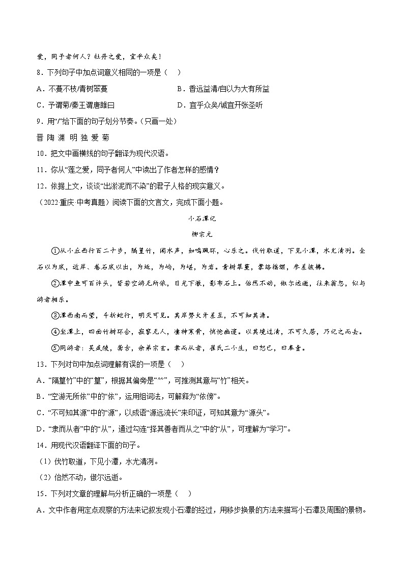 初中语文中考复习 专题11 文言文阅读：山水游记(原卷版)第3页
