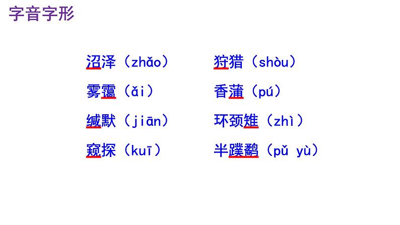 八下语文《大雁归来》PPT第6页