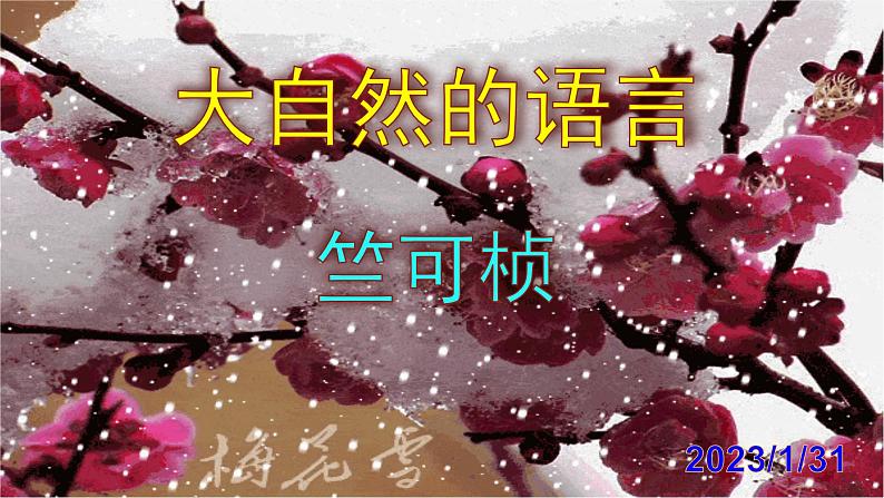 八下语文《大自然的语言》PPT第1页