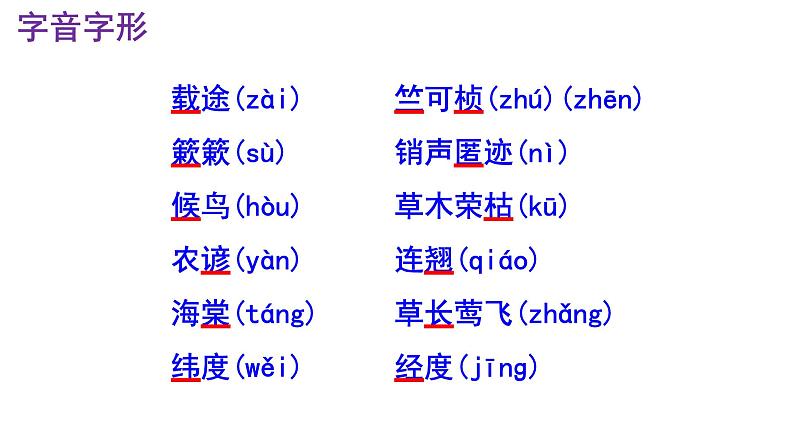 八下语文《大自然的语言》PPT第8页
