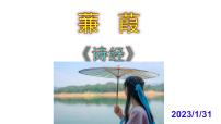 语文八年级下册蒹葭获奖ppt课件