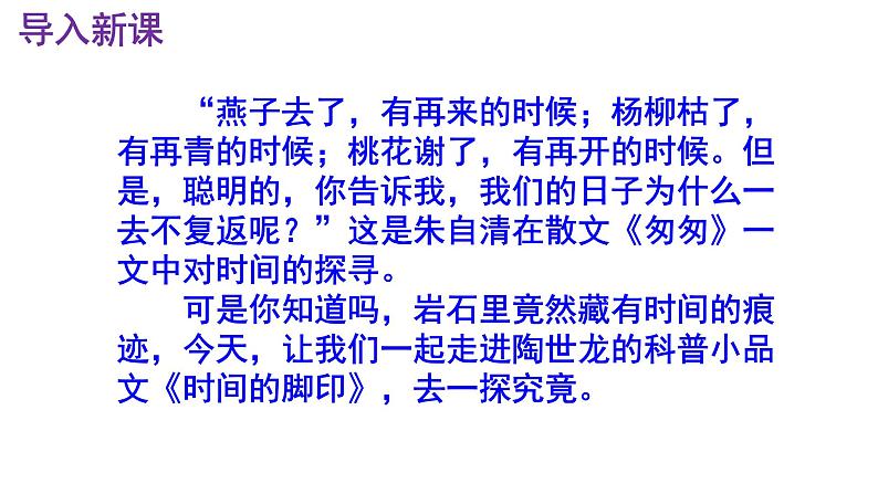八下语文《时间的脚印》PPT第2页