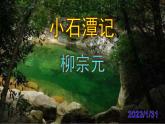 八下语文《小石潭记》PPT