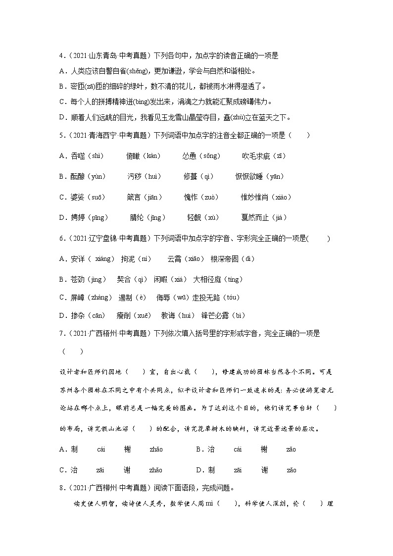 备战2023年语文新中考二轮复习热点透析 核心考点01字音、字形（原卷版）第2页