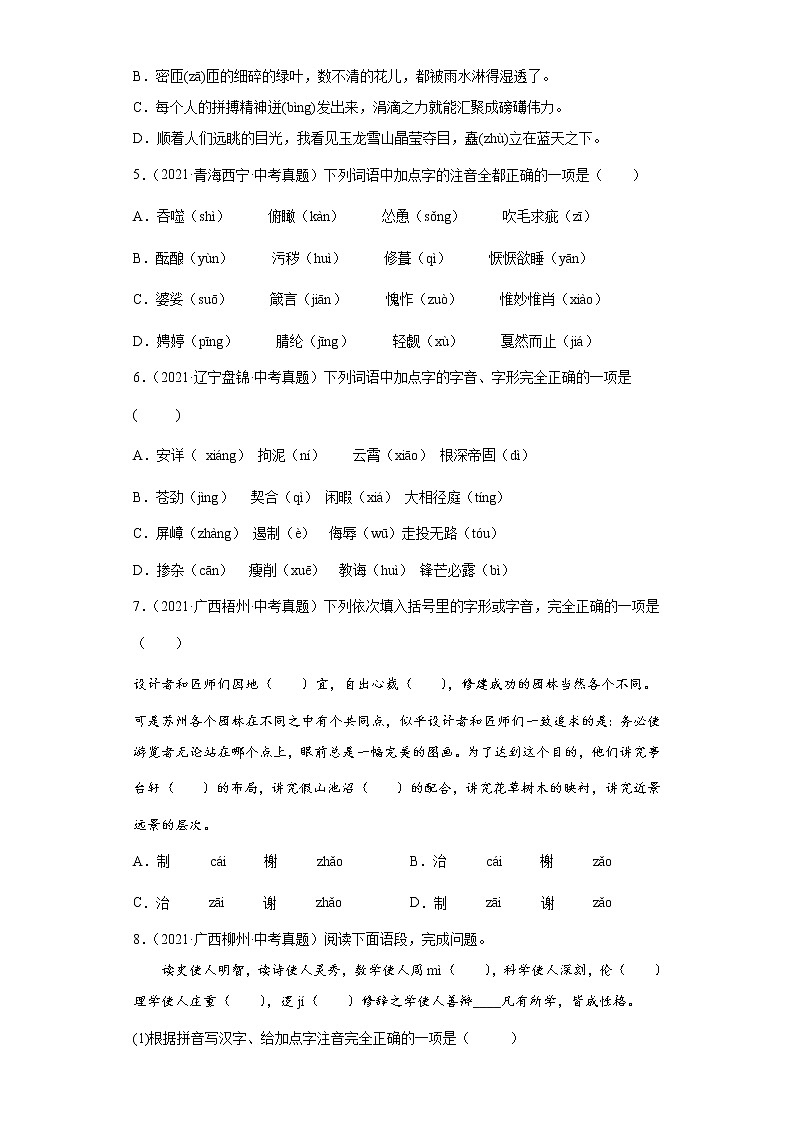 备战2023年语文新中考二轮复习热点透析 核心考点01字音、字形（解析版）第2页