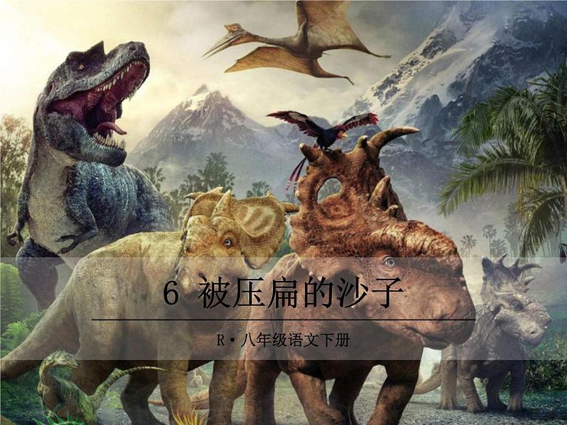 被压扁的沙子第1页