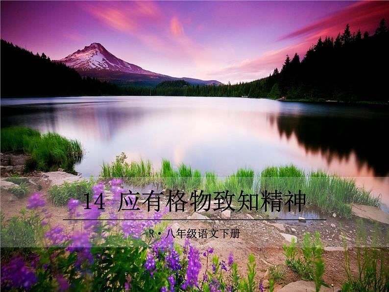 部编版八年级下册语文同步课件14 应有格物致知精神第1页