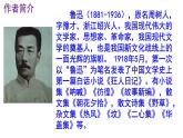 八下语文《社戏》PPT课件