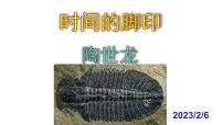 人教部编版八年级下册时间的脚印获奖课件ppt
