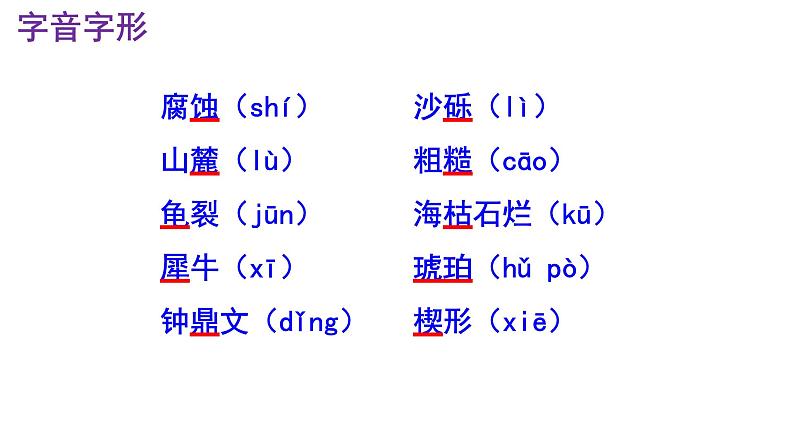八下语文《时间的脚印》PPT课件第6页