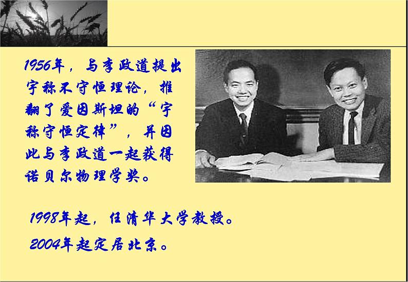 部编版七年级语文下册--1.邓稼先（课件4）第3页