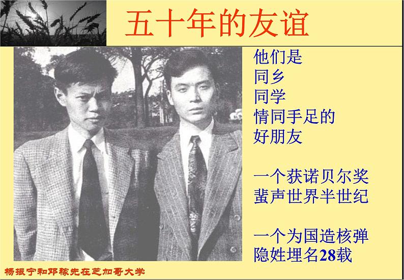 部编版七年级语文下册--1.邓稼先（课件4）第4页