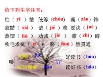 人教部编版九年级下册谈读书多媒体教学ppt课件