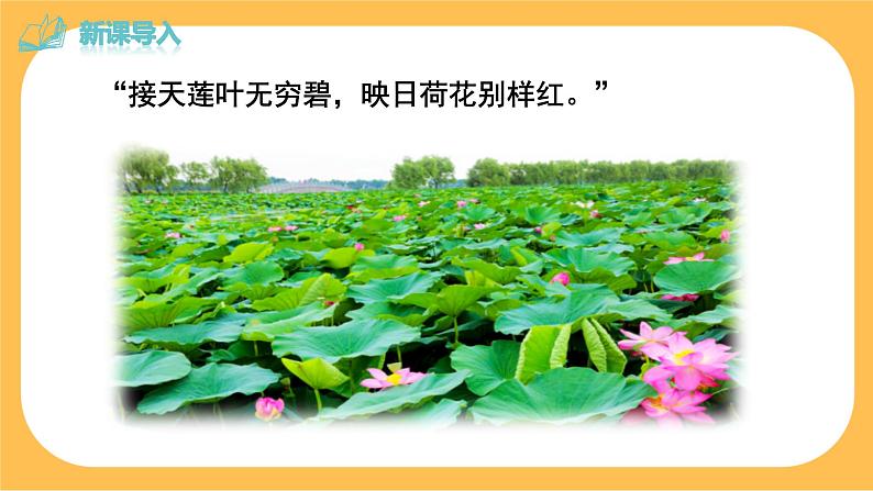 17《 短文两篇》课件PPT+教案+导学案+说课稿+音视频素材02