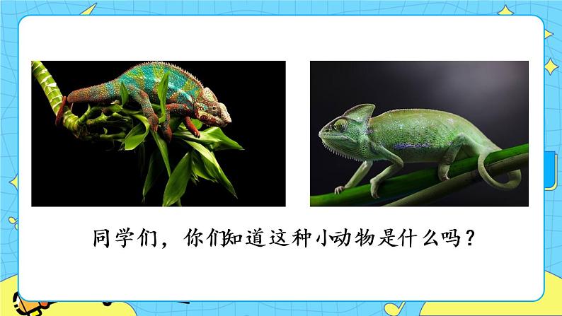 6 变色龙（课件+教案+课课练+说课稿）01