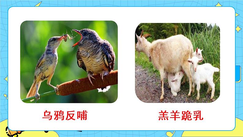 第四单元 综合性学习 孝亲敬老，从我做起（课件+课课练）02