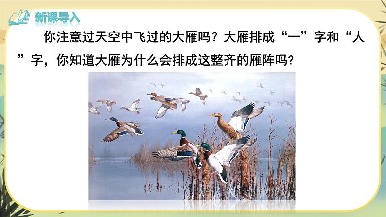 7 大雁归来第4页
