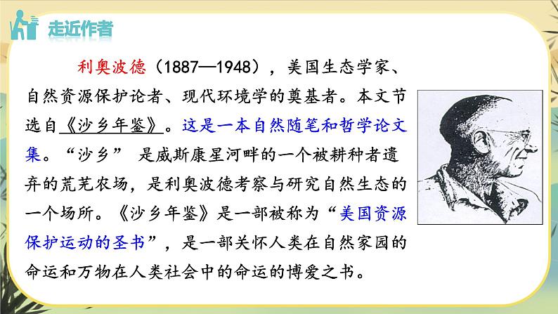 7 大雁归来第6页