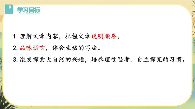 8时间的脚印第3页