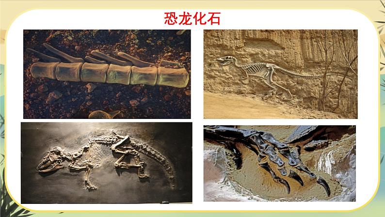 8时间的脚印第5页