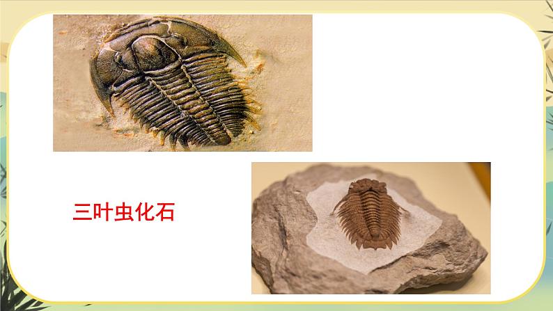 8时间的脚印第6页