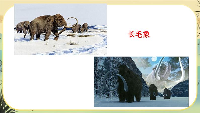 8时间的脚印第7页