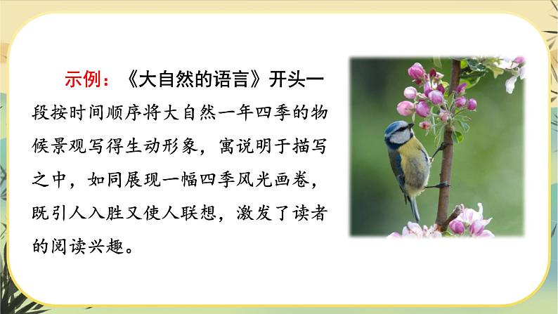 写作 说明的顺序第5页