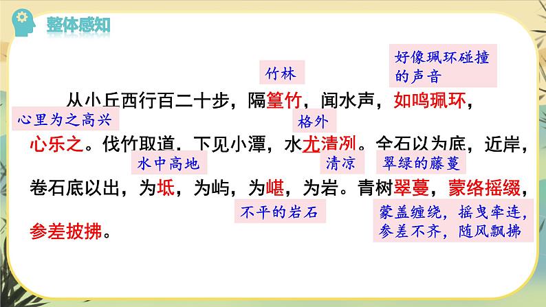 10小石潭记第8页