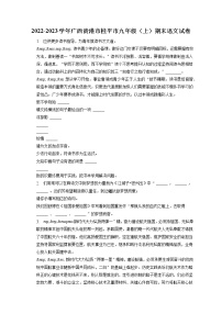 2022-2023学年广西贵港市桂平市九年级（上）期末语文试卷（含答案解析）