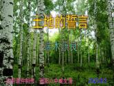 七下语文 8《土地的誓言》实用课件