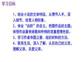 七下语文 12《台阶》实用课件