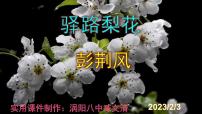 初中语文人教部编版七年级下册15 驿路梨花优秀ppt课件