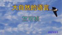 人教部编版八年级下册5 大自然的语言优秀ppt课件