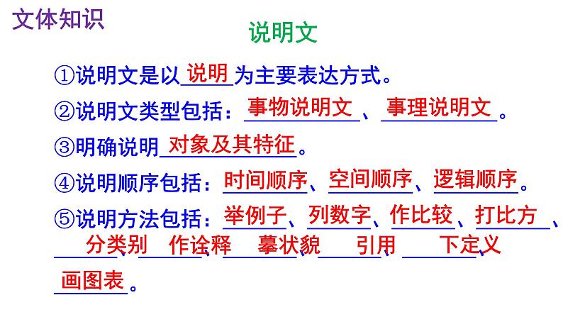 八下语文 6《被压扁的沙子》实用课件05