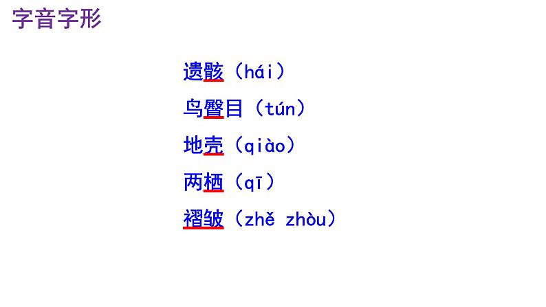 八下语文 6《恐龙无处不有》实用课件06